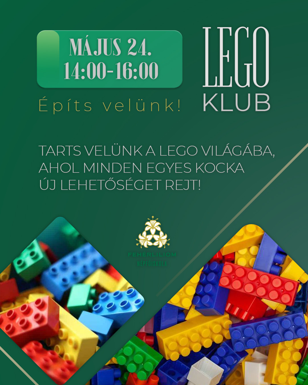 Program képe