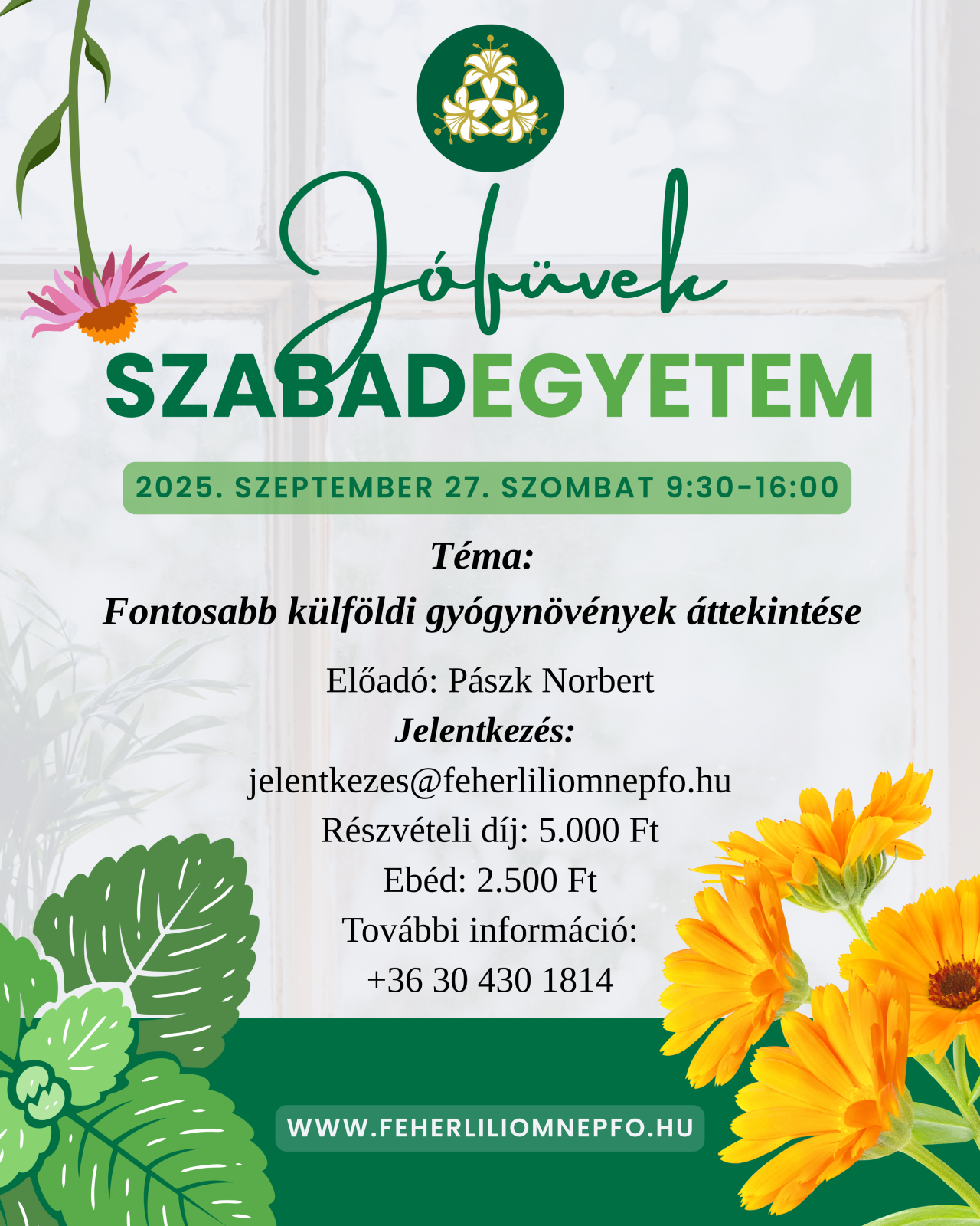 Program képe